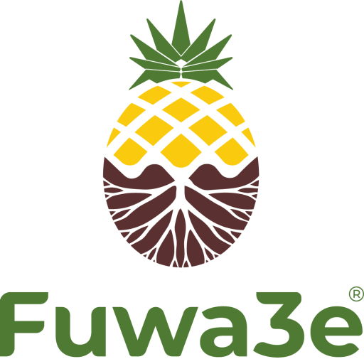 fuwa3e.com